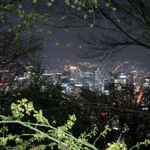 클래식 레이릴렉스 홈타이 제휴업체 이미지